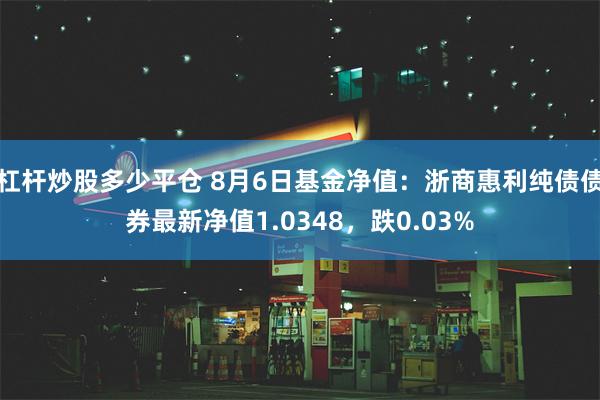 杠杆炒股多少平仓 8月6日基金净值：浙商惠利纯债债券最新净值1.0348，跌0.03%