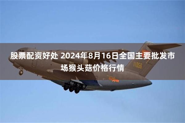 股票配资好处 2024年8月16日全国主要批发市场猴头菇价格行情