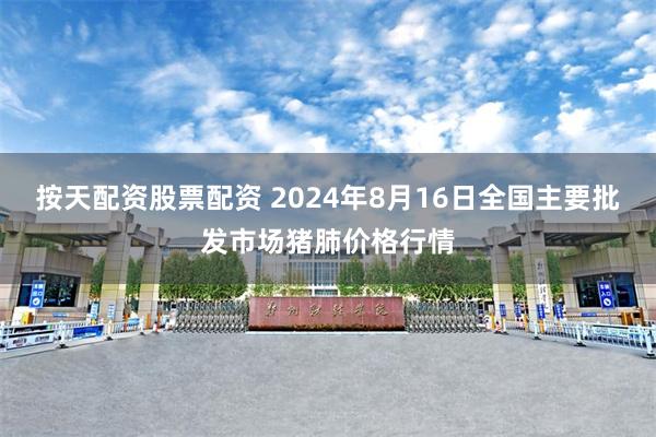 按天配资股票配资 2024年8月16日全国主要批发市场猪肺价格行情