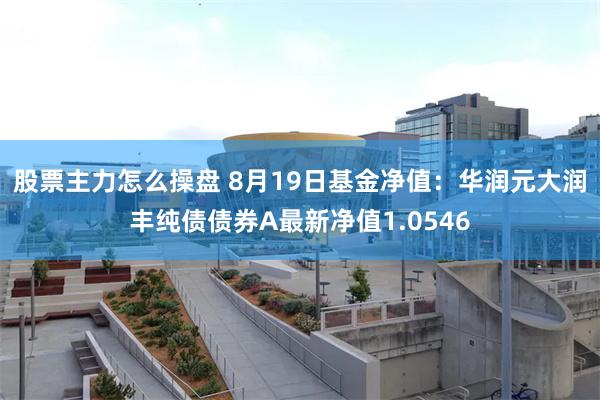 股票主力怎么操盘 8月19日基金净值：华润元大润丰纯债债券A最新净值1.0546