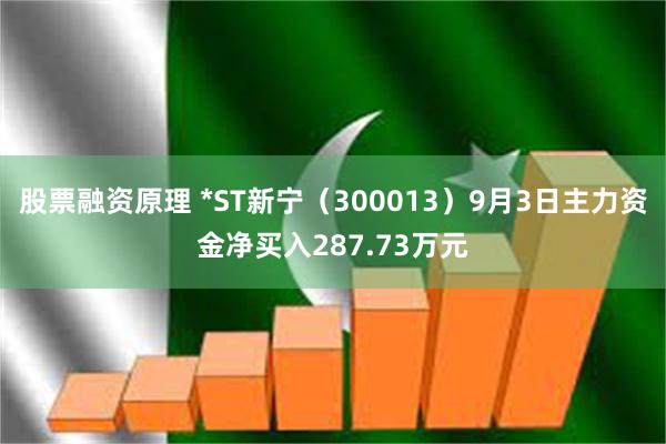 股票融资原理 *ST新宁（300013）9月3日主力资金净买入287.73万元