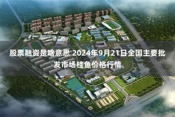 股票融资是啥意思 2024年9月21日全国主要批发市场桂鱼价格行情