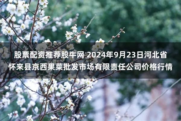 股票配资推荐股牛网 2024年9月23日河北省怀来县京西果菜批发市场有限责任公司价格行情