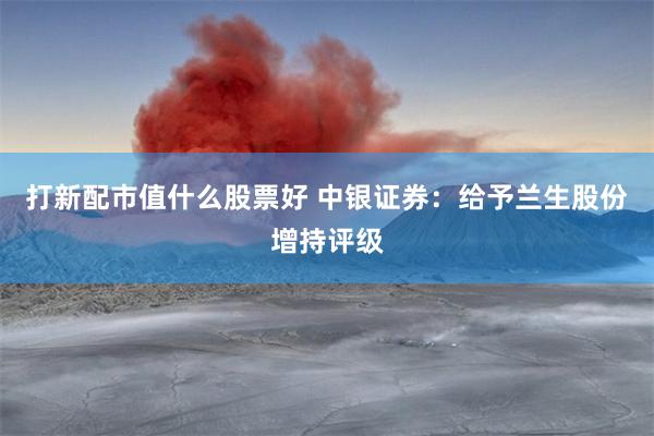 打新配市值什么股票好 中银证券：给予兰生股份增持评级