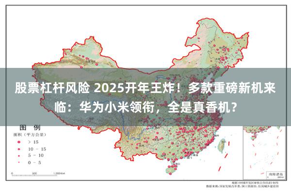 股票杠杆风险 2025开年王炸！多款重磅新机来临：华为小米领衔，全是真香机？