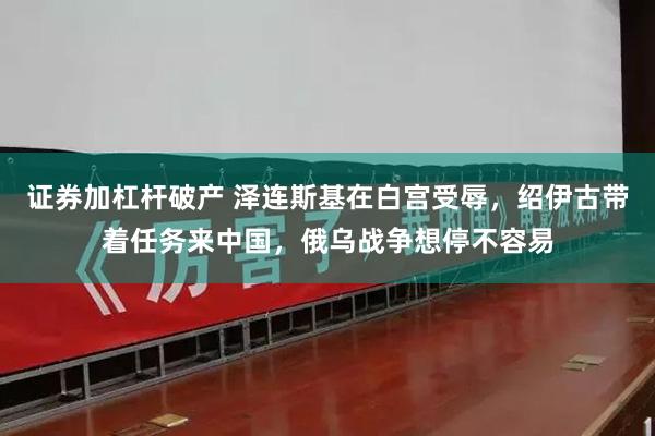 证券加杠杆破产 泽连斯基在白宫受辱，绍伊古带着任务来中国，俄乌战争想停不容易